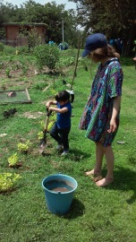 Maya learning to plant